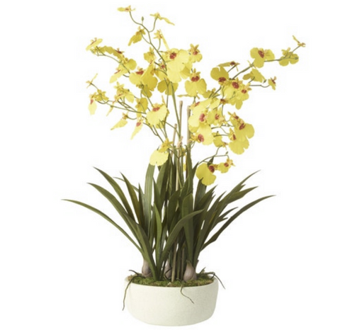 Rogue Artificial Dancing Orchid Flowers in Pot Indoor Potted Plant Mustard Yellow 52x52x66cm Rogue Artificial Dancing Orchid Flowers in Pot Indoor Potted Plant Mustard Yellow 52x52x66cm