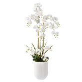 Rogue Artificial Faux Phalaenopsis Orchid Ribbed Pot White