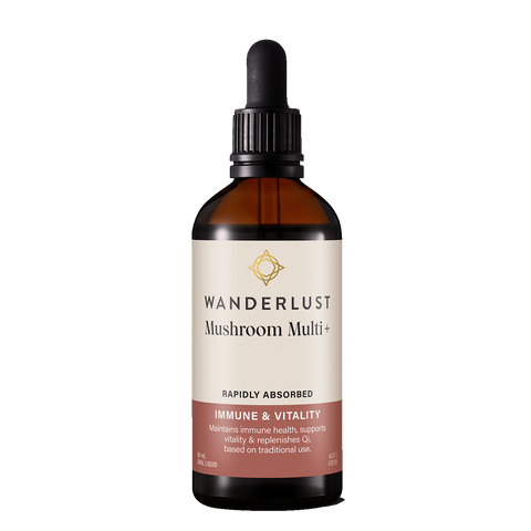 Wanderlust Mushroom Multi+ 90mL