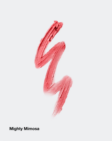 CLINIQUE Chubby Stick Moisturizing Lip Colour Balm 3g