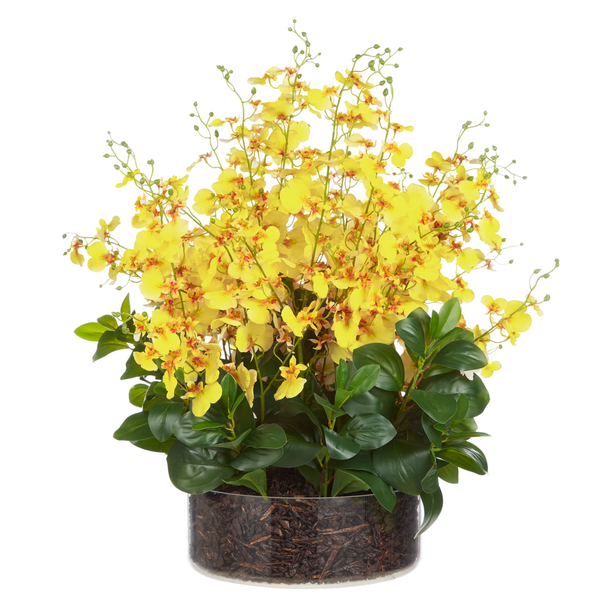 Rogue Artificial Dancing Orchid Garden Mix in Madelyn Bowl Yellow Flower 66x66x67cm