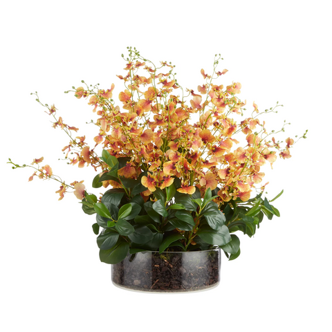 Rogue Artificial Dancing Orchid Garden Mix in Madelyn Bowl - 66x66x67cm