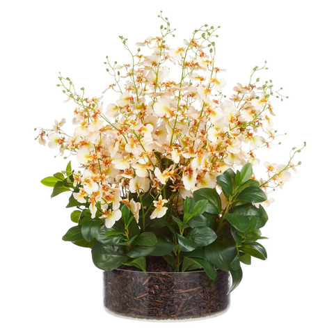 Rogue Artificial Dancing Orchid Garden Mix in Madelyn Bowl - 66x66x67cm