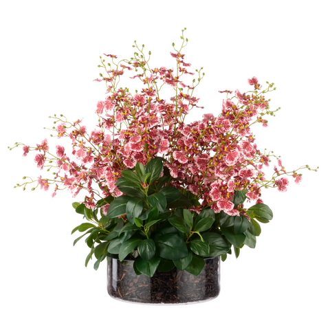 Rogue Artificial Dancing Orchid Garden Mix in Madelyn Bowl - 66x66x67cm