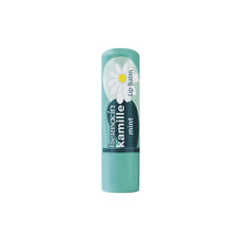 Load image into Gallery viewer, Herbacin Lip Balm mint - Blister 4.8g