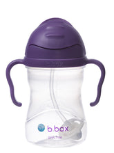 Load image into Gallery viewer, B.BOX sippy cup 240mL - GRAPE