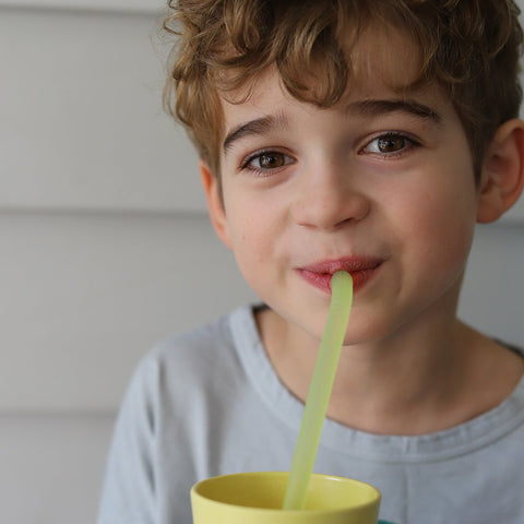 B.Box Reusable Silicone Straw - Very Berry