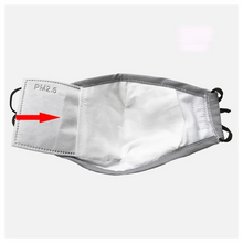 Load image into Gallery viewer, Face Mask - Landou PM2.5 Anti-haze Non Medical Face Mask with Replaceable Filter
