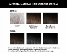 Load image into Gallery viewer, Messina Natural Hair Colour Cream DARK BROWN 250g