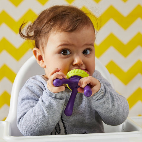B.Box Silicone Fresh Food Feeder - Passion Splash