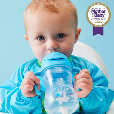 B.Box Sippy Cup 240mL - Blueberry